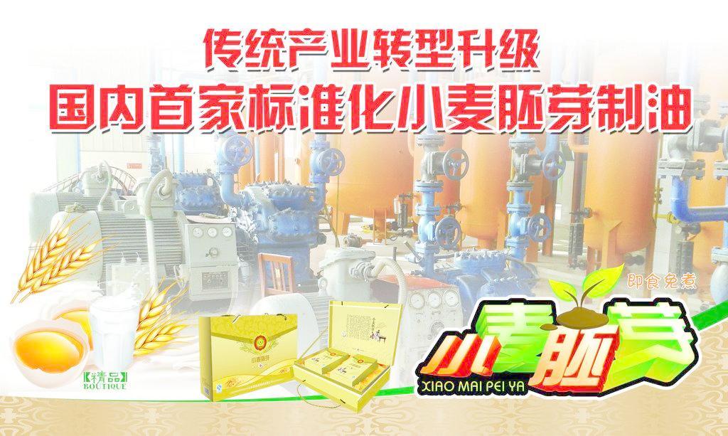 小麥胚芽 從科研圖像到產業服務——探索會議與展覽在現代農業中的價值