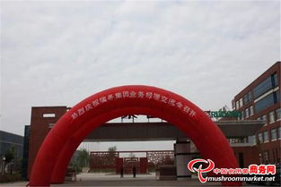 瑞冬集團成功舉辦業務經理交流會，以拳頭產品與核心研制能力引領行業新風向